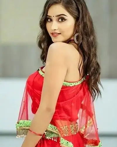 Call Girls Service Lalsot